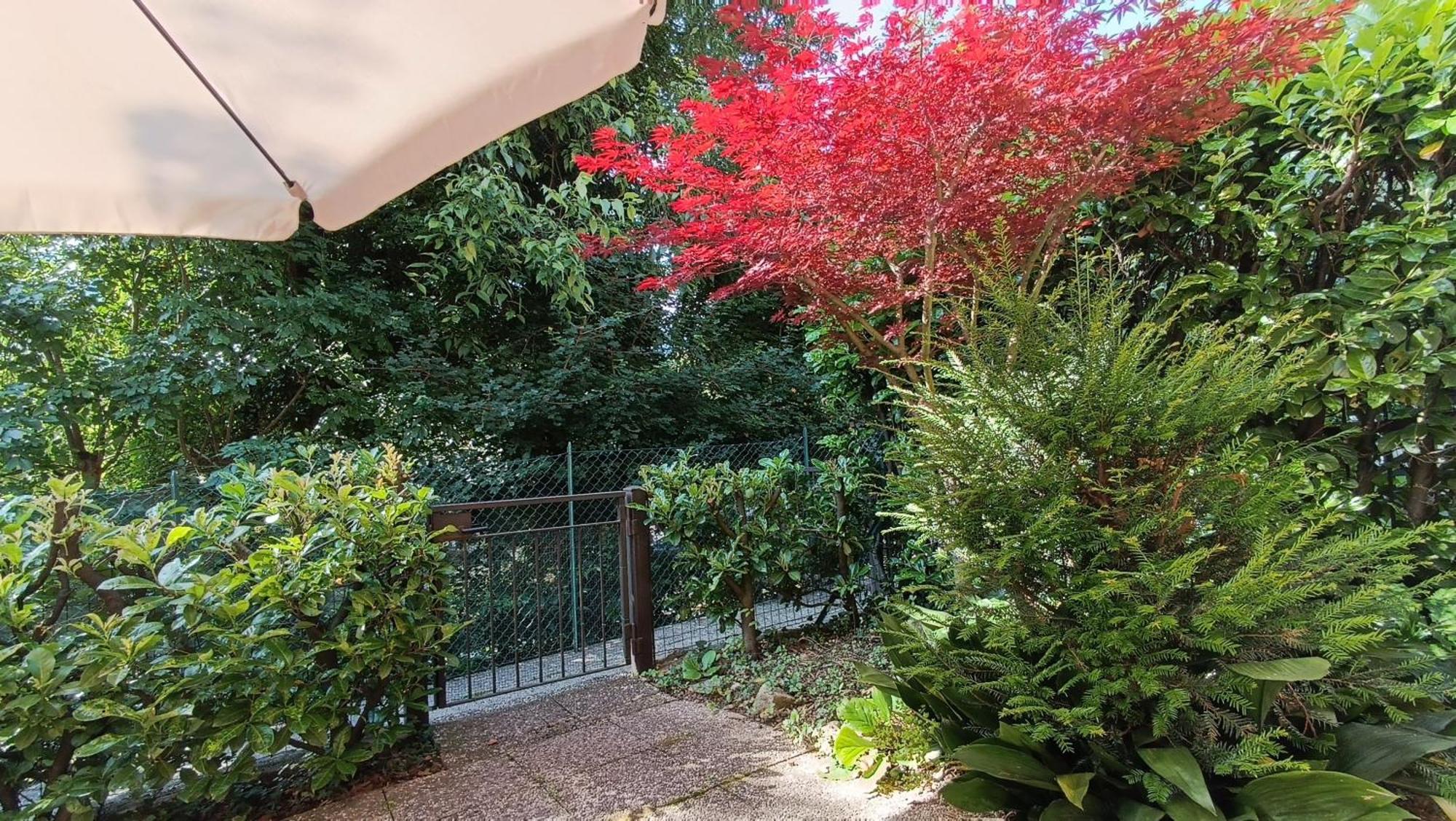 Casa Vacanza Ranzanico Lago, Lago Di Endine - Relax E Natura Tutta Da Vivere Exterior photo